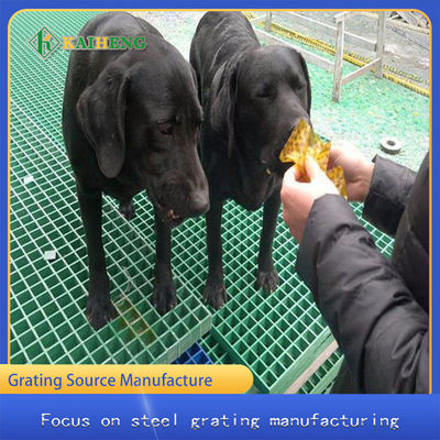 De Kooivloer van het glasvezel Plastic FRP Gevormde Raspende Traliewerk voor het Gevogeltefokken